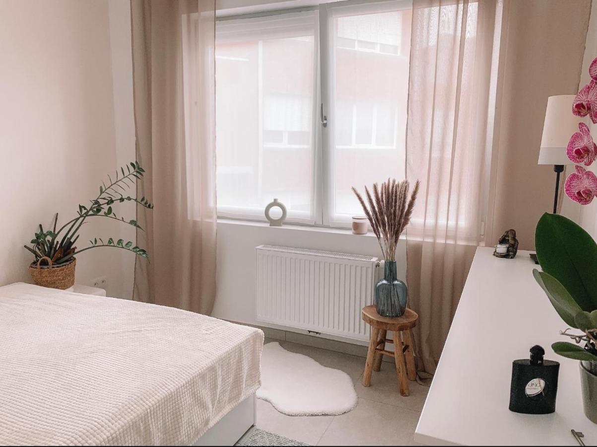 Vintage Dream Apartment Zwijndrecht Luaran gambar