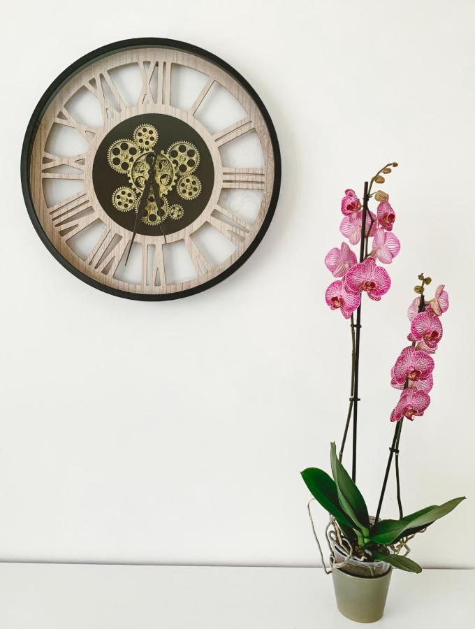 Vintage Dream Apartment Zwijndrecht Luaran gambar